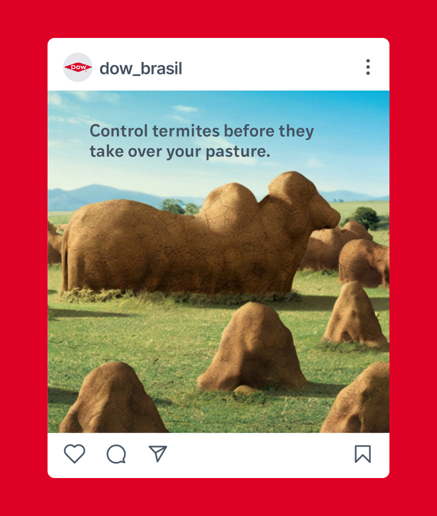 Dow® Brasil Social Media