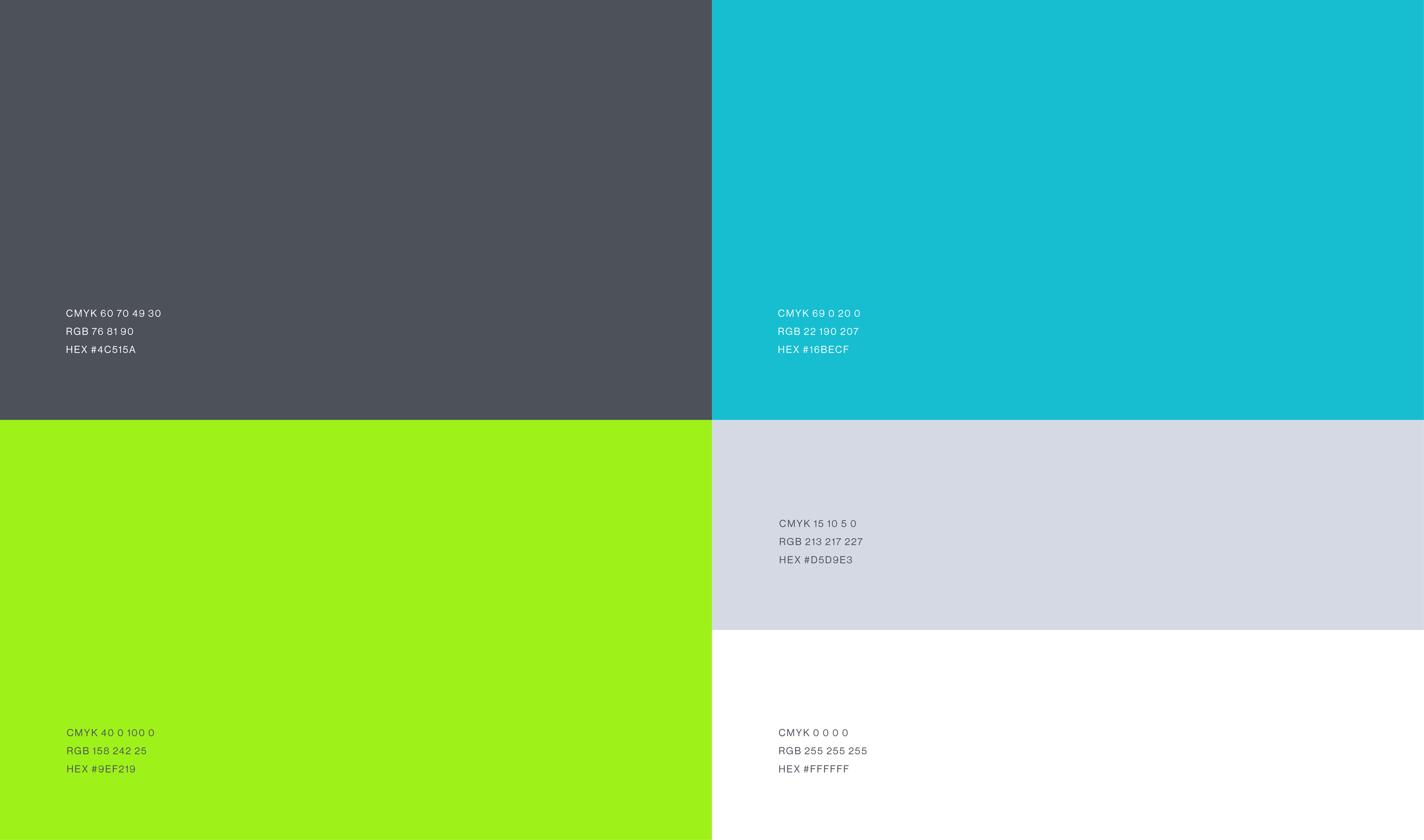 Rota Branding Colors
